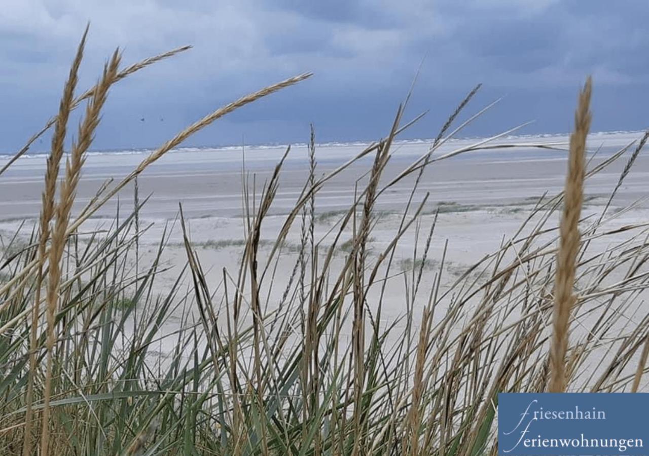 Friesenhain Ferienwohnungen Sankt Peter-Ording Ngoại thất bức ảnh